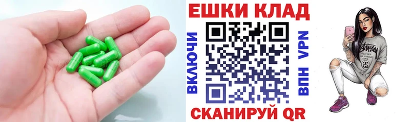 Купить  Зима  Ecstasy TESLA 