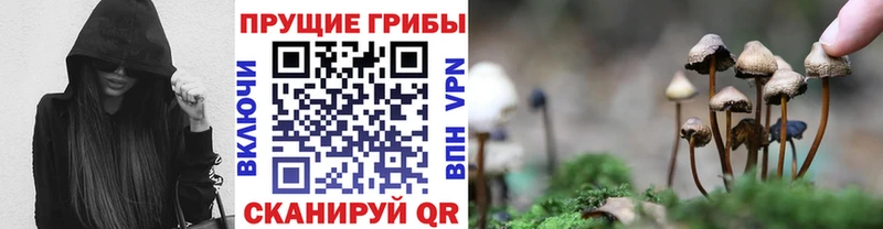 Галлюциногенные грибы Magic Shrooms  Купить где  Зима 